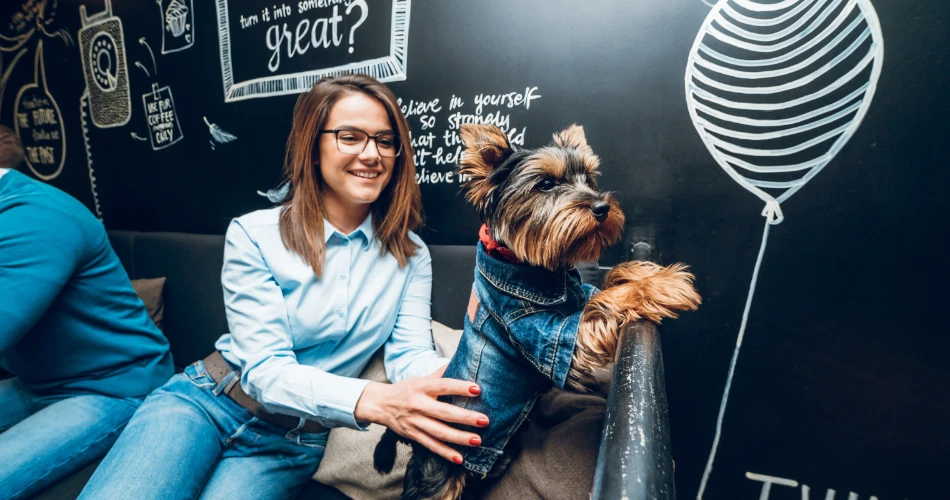 Viena Pet-Friendly. Cafés y parques para tu perro.
